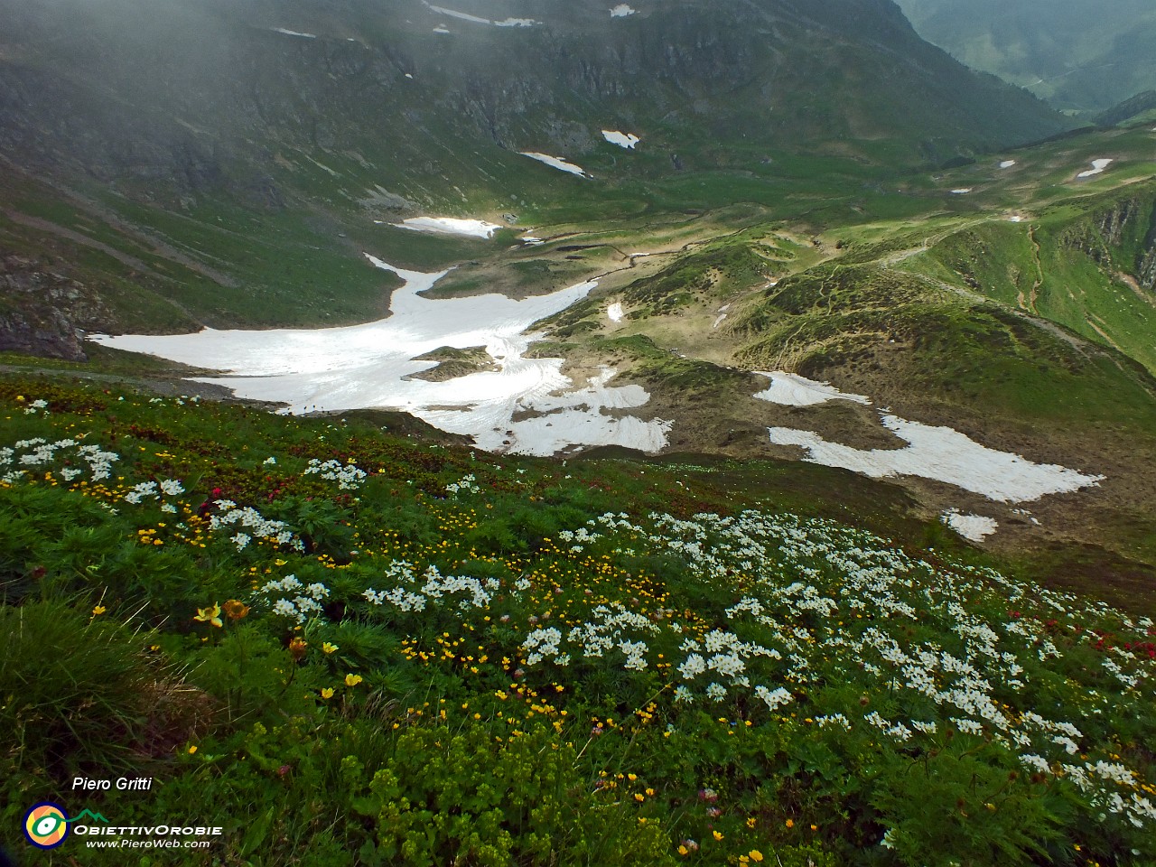 40 Ancora neve nei canali accanto a estese fioriture sui fianchi della montagna....JPG